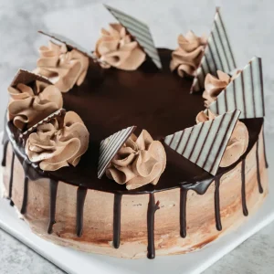 Chocolate Gateau Cake